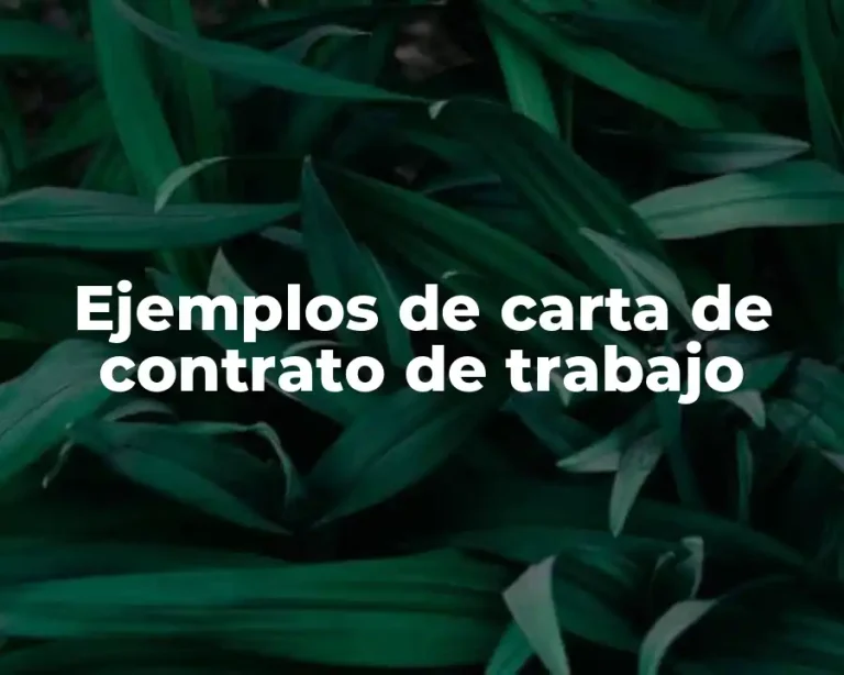 Ejemplos de carta de contrato de trabajo