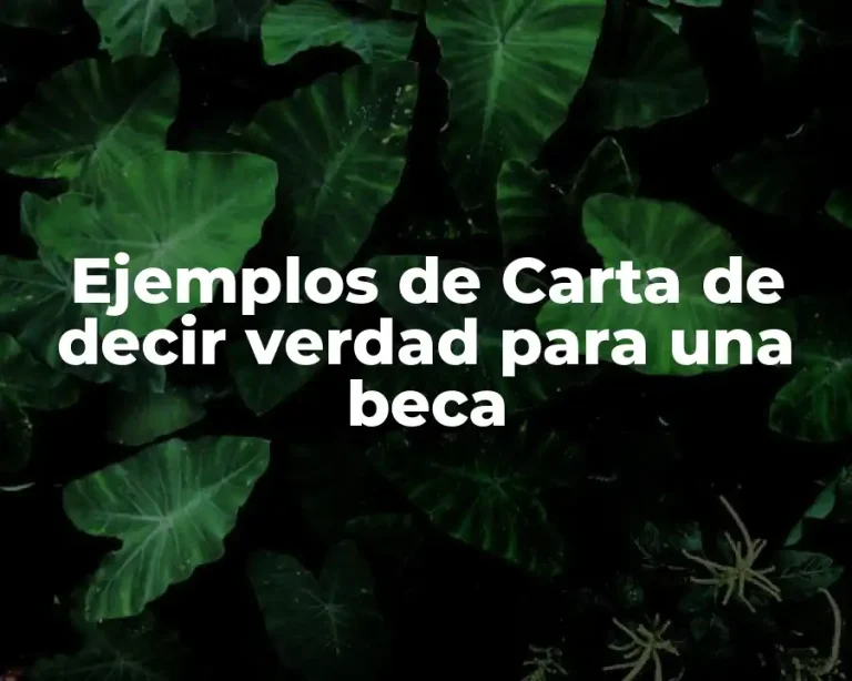 Ejemplos de Carta de decir verdad para una beca