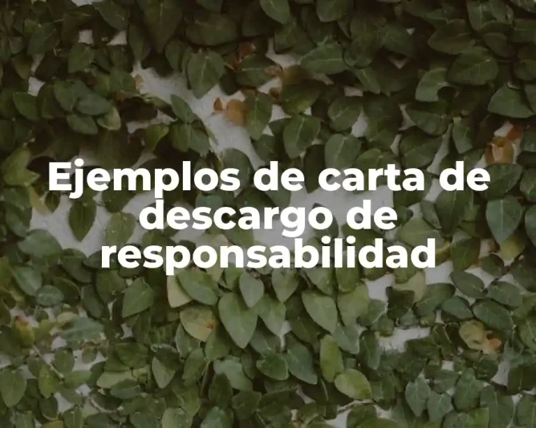 Ejemplos de carta de descargo de responsabilidad