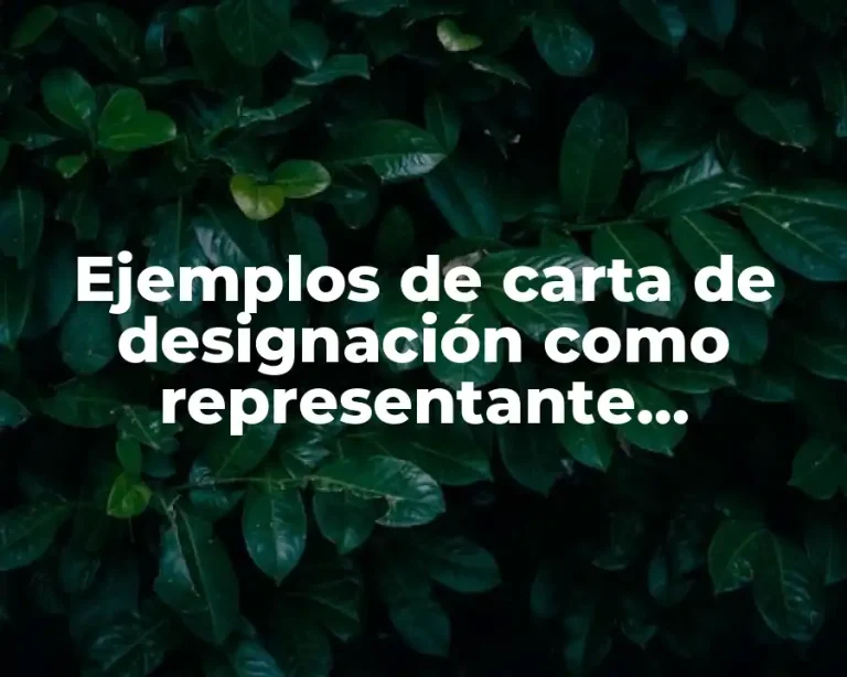 Ejemplos de carta de designación como representante autorizado y Significado