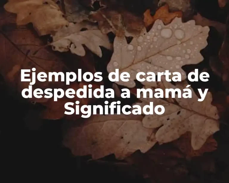 Ejemplos de carta de despedida a mamá y Significado