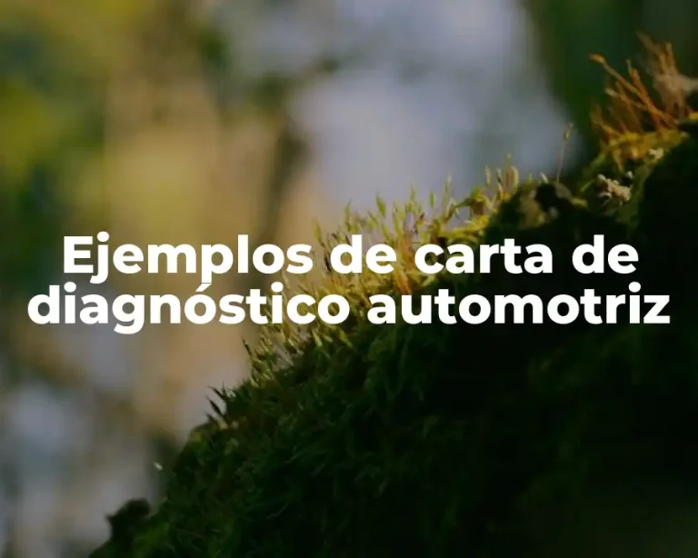 Ejemplos de carta de diagnóstico automotriz