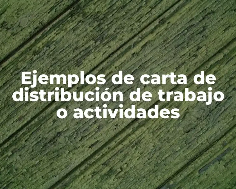 Ejemplos de carta de distribución de trabajo o actividades