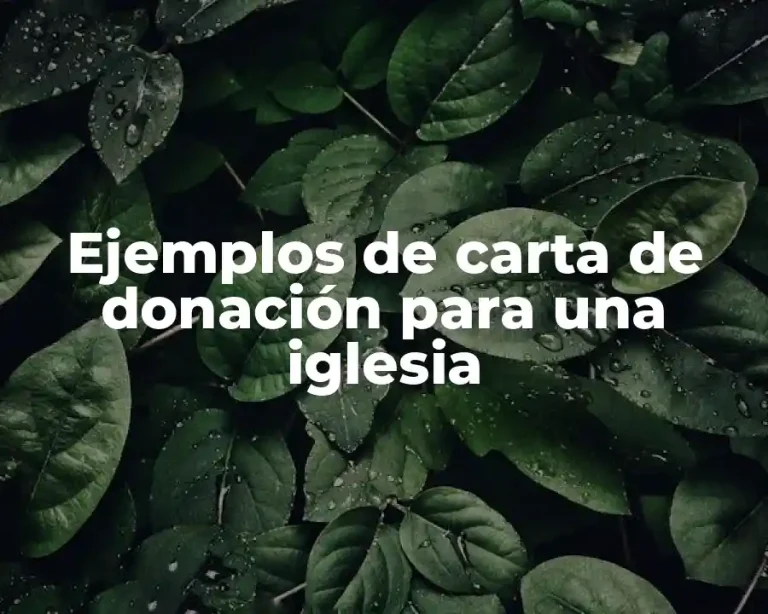 Ejemplos de carta de donación para una iglesia