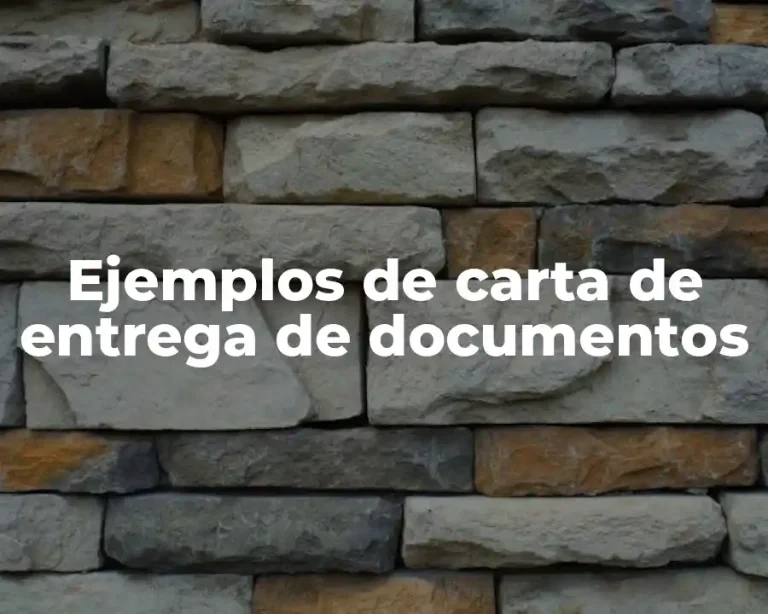 Ejemplos de carta de entrega de documentos