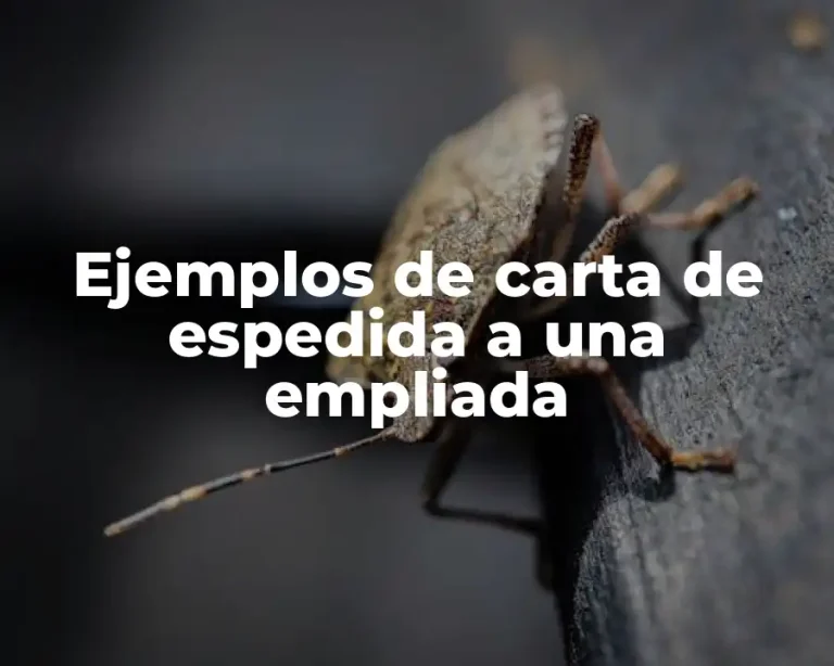 Ejemplos de carta de espedida a una empliada