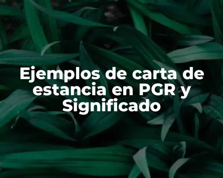 Ejemplos de carta de estancia en PGR y Significado