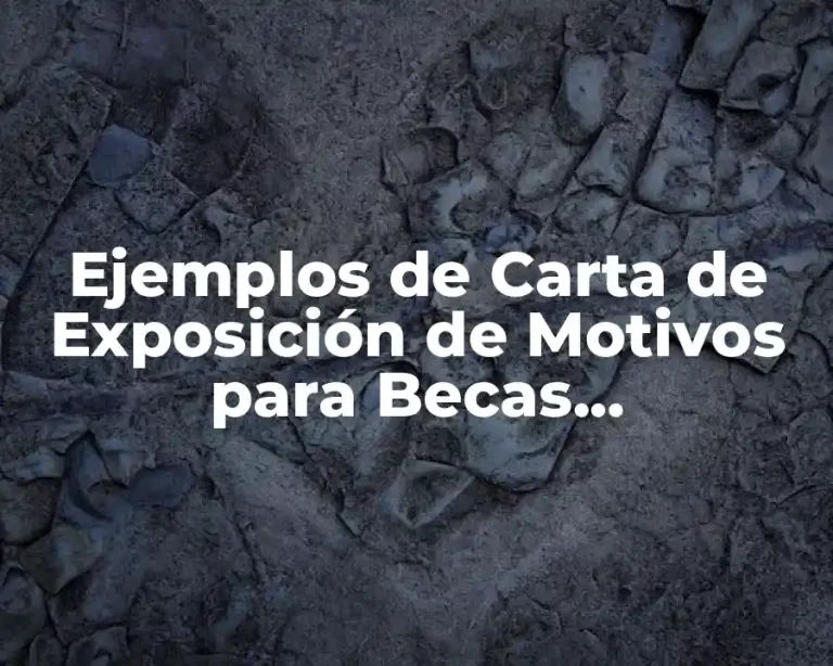 Ejemplos de Carta de Exposición de Motivos para Becas Emprendedores