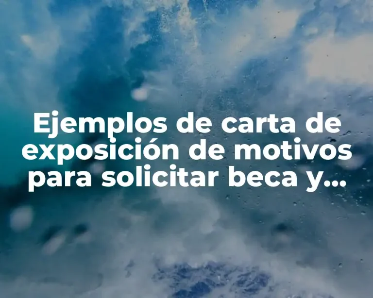 Ejemplos de carta de exposición de motivos para solicitar beca y Significado