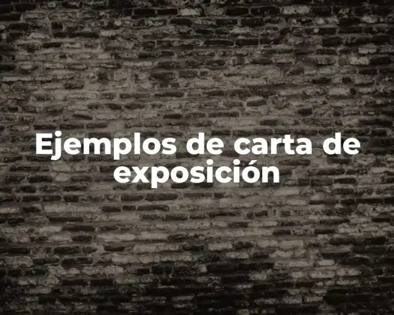 Ejemplos de carta de exposición
