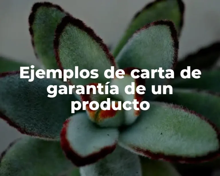 Ejemplos de carta de garantía de un producto