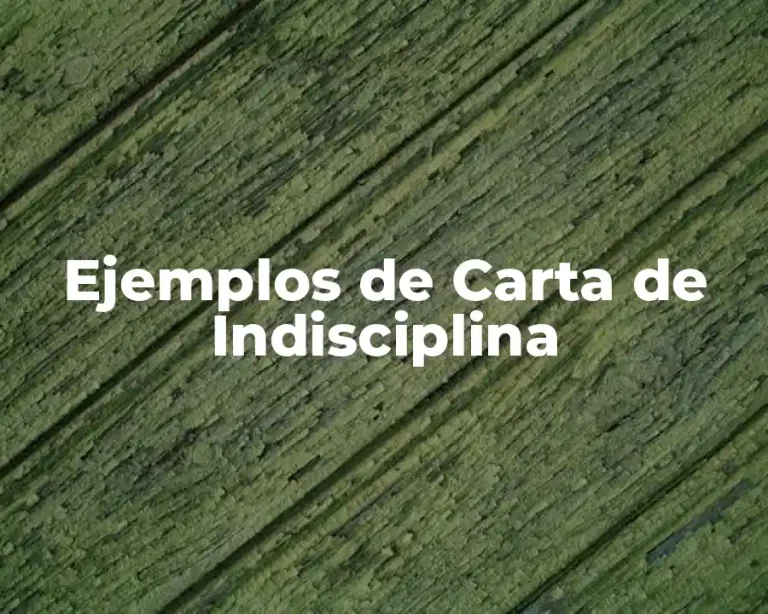 Ejemplos de Carta de Indisciplina