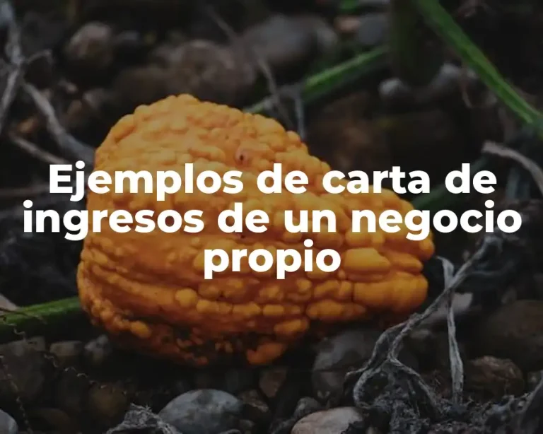 Ejemplos de carta de ingresos de un negocio propio
