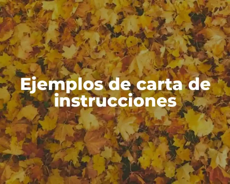 Ejemplos de carta de instrucciones
