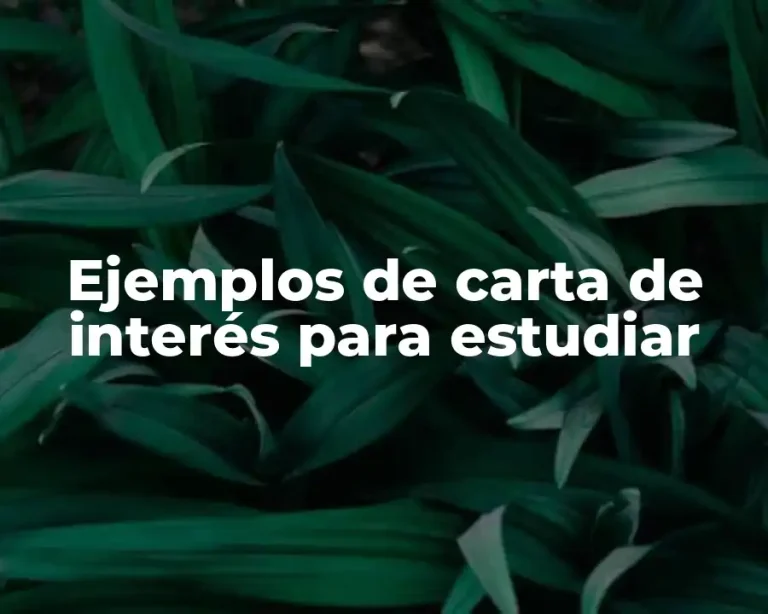 Ejemplos de carta de interés para estudiar