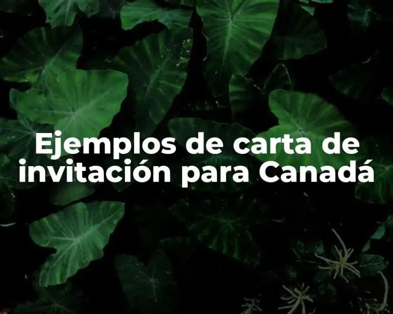 Ejemplos de carta de invitación para Canadá