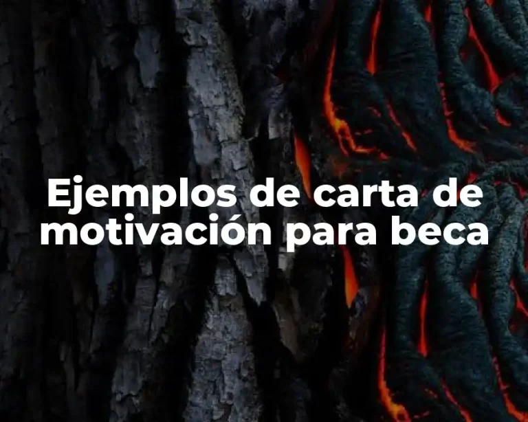 Ejemplos de carta de motivación para beca