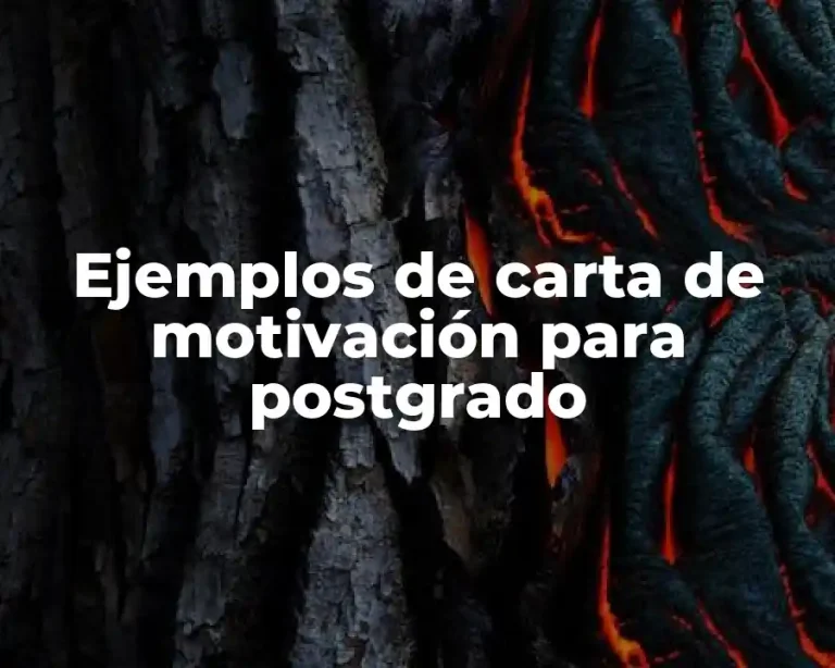 Ejemplos de carta de motivación para postgrado