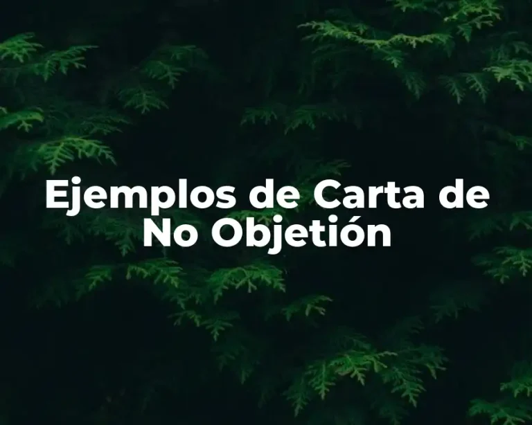 Ejemplos de Carta de No Objetión