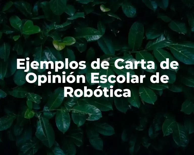 Ejemplos de Carta de Opinión Escolar de Robótica