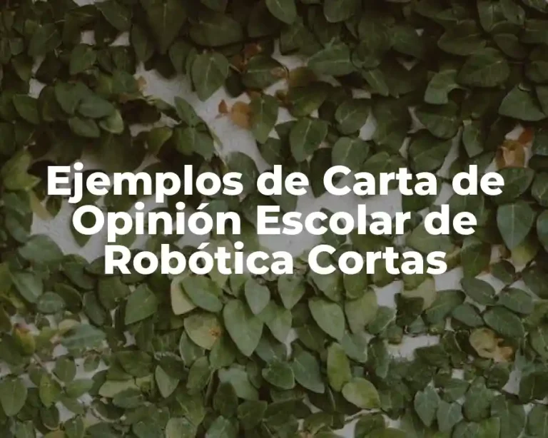 Ejemplos de Carta de Opinión Escolar de Robótica Cortas