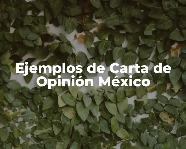 Ejemplos de Carta de Opinión México