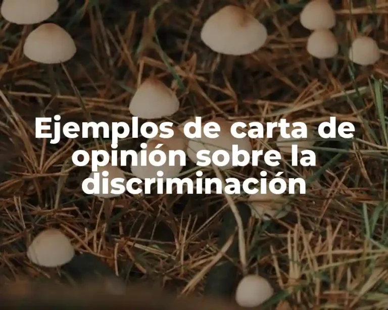 Ejemplos de carta de opinión sobre la discriminación
