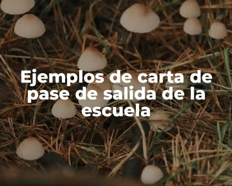 Ejemplos de carta de pase de salida de la escuela