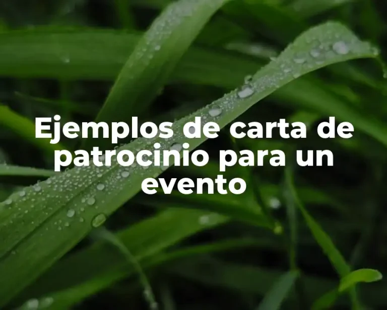 Ejemplos de carta de patrocinio para un evento
