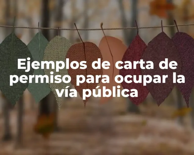 Ejemplos de carta de permiso para ocupar la vía pública