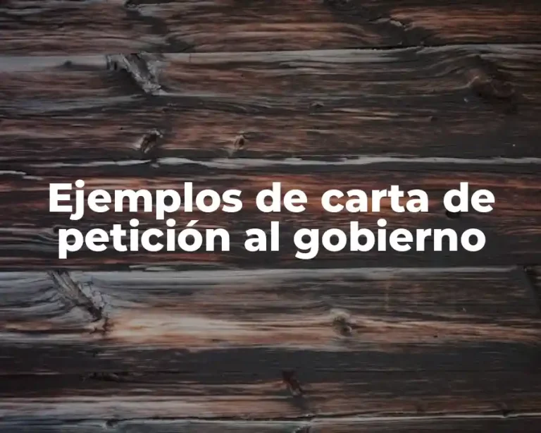 Ejemplos de carta de petición al gobierno