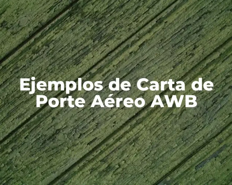 Ejemplos de Carta de Porte Aéreo AWB