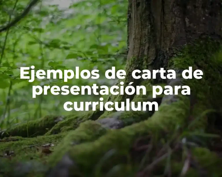 Ejemplos de carta de presentación para curriculum
