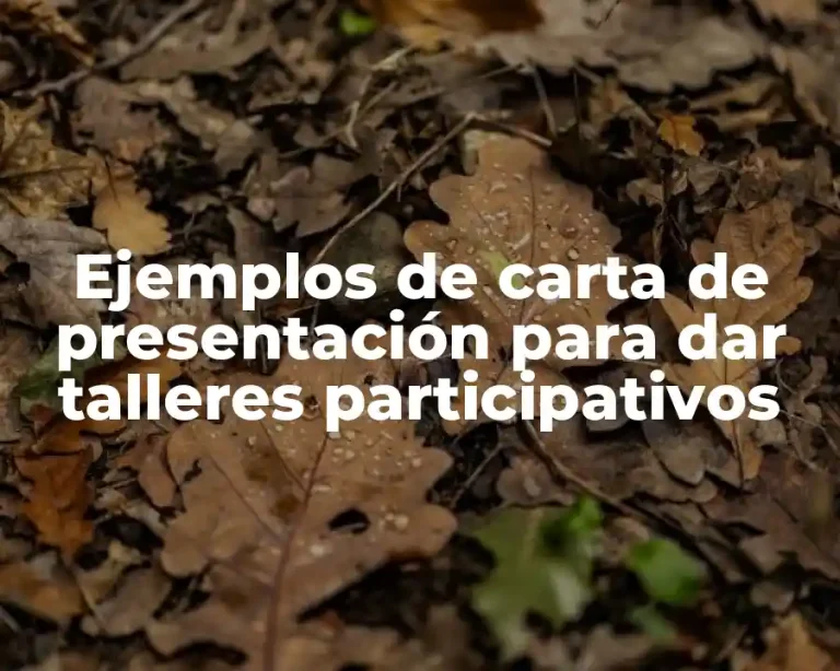Ejemplos de carta de presentación para dar talleres participativos