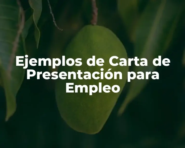 Ejemplos de Carta de Presentación para Empleo