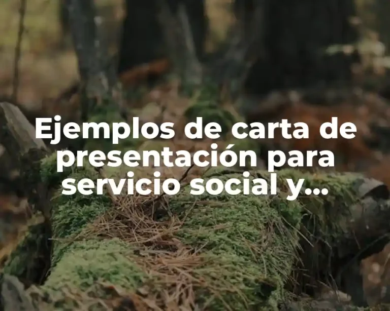 Ejemplos de carta de presentación para servicio social y Significado