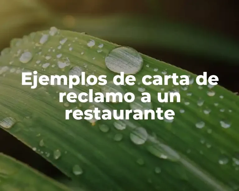 Ejemplos de carta de reclamo a un restaurante