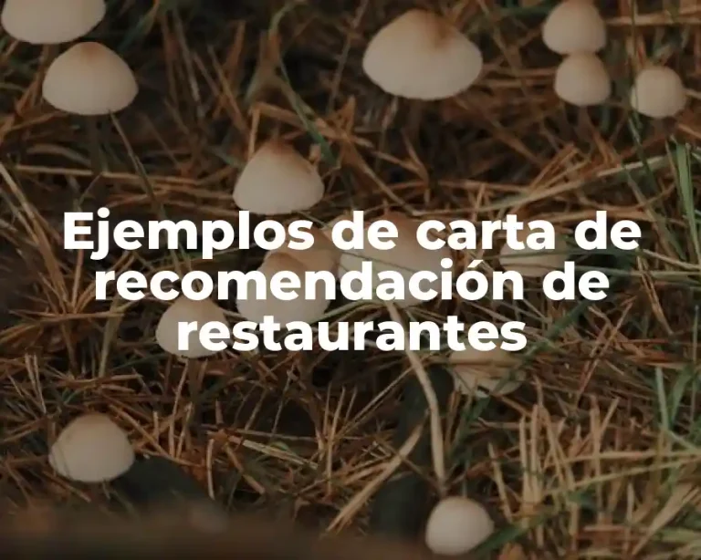 Ejemplos de carta de recomendación de restaurantes