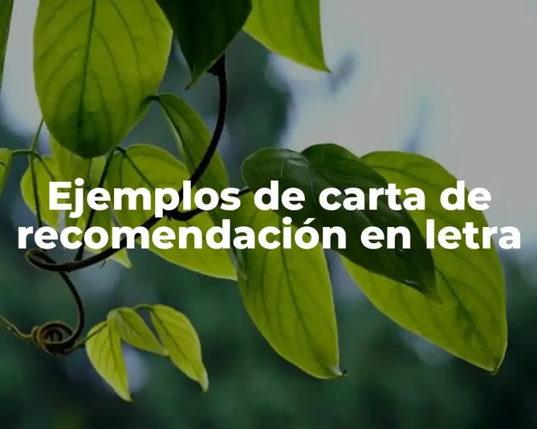 Ejemplos de carta de recomendación en letra