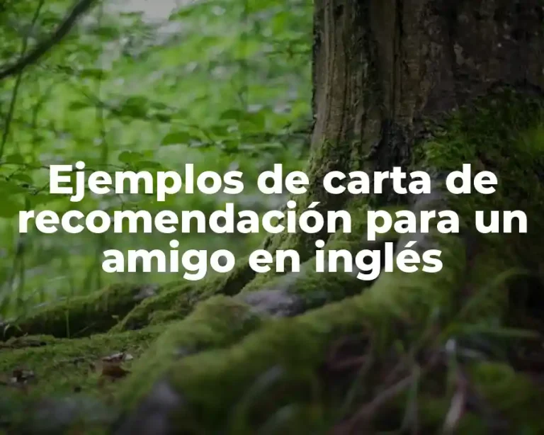 Ejemplos de carta de recomendación para un amigo en inglés