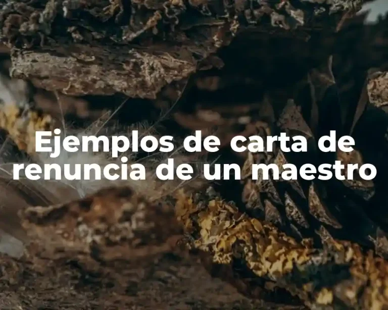 Ejemplos de carta de renuncia de un maestro