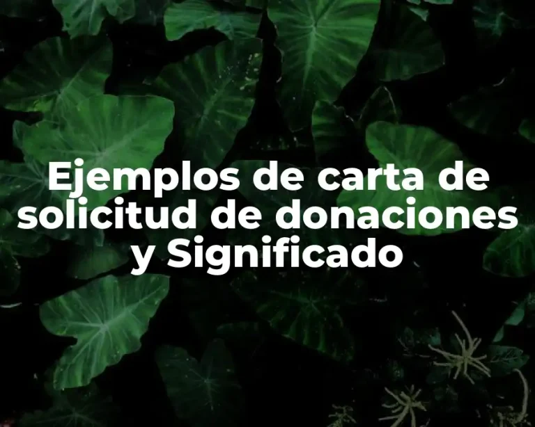 Ejemplos de carta de solicitud de donaciones y Significado