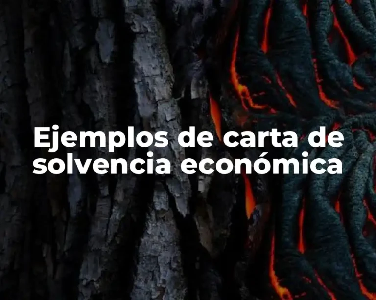 Ejemplos de carta de solvencia económica