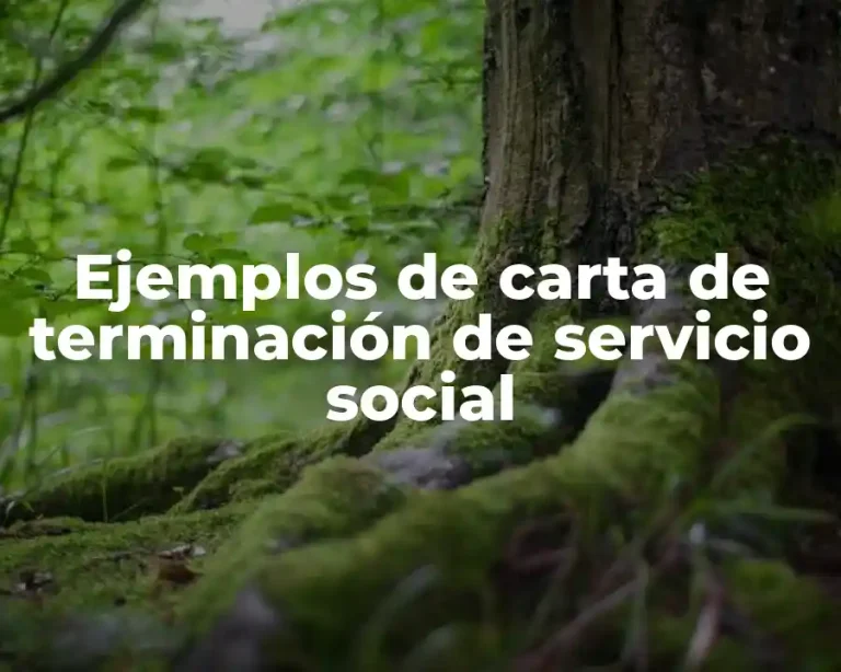 Ejemplos de carta de terminación de servicio social
