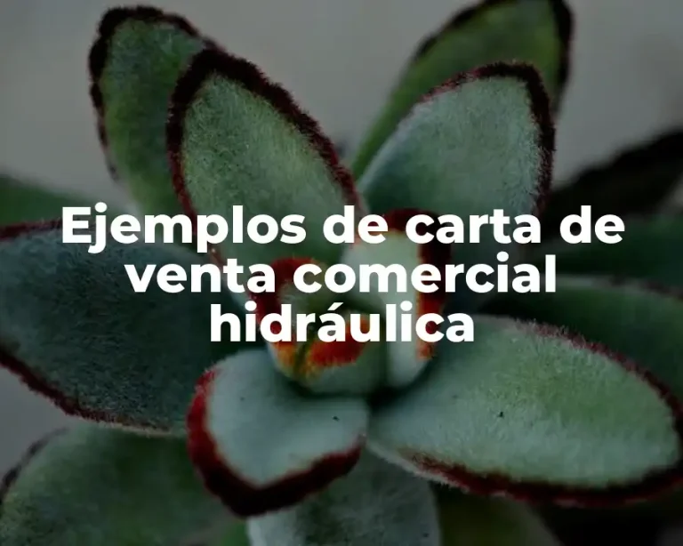 Ejemplos de carta de venta comercial hidráulica