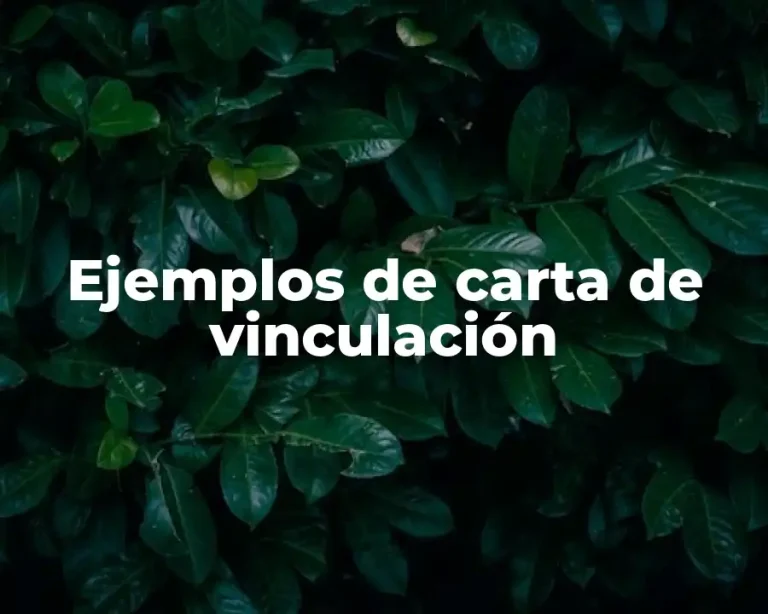 Ejemplos de carta de vinculación