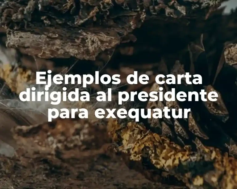 Ejemplos de carta dirigida al presidente para exequatur