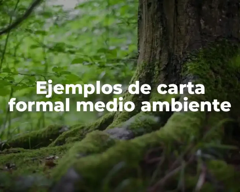 Ejemplos de carta formal medio ambiente