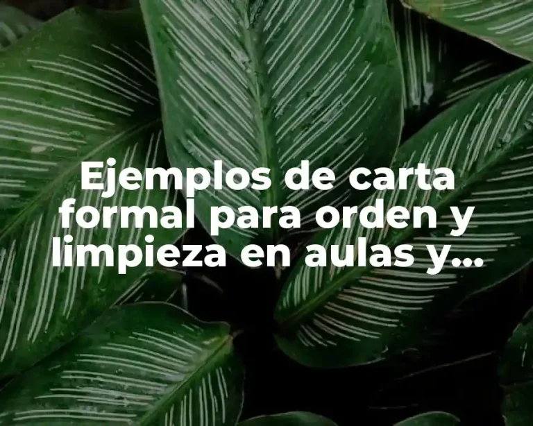 Ejemplos de carta formal para orden y limpieza en aulas y Significado