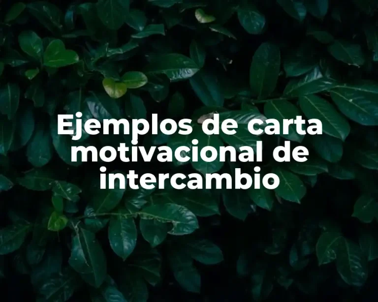 Ejemplos de carta motivacional de intercambio